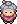 Professor Carolina